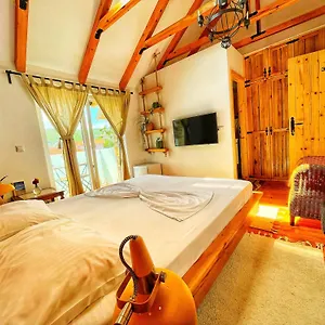 Bed & Breakfast House 1960, Lini